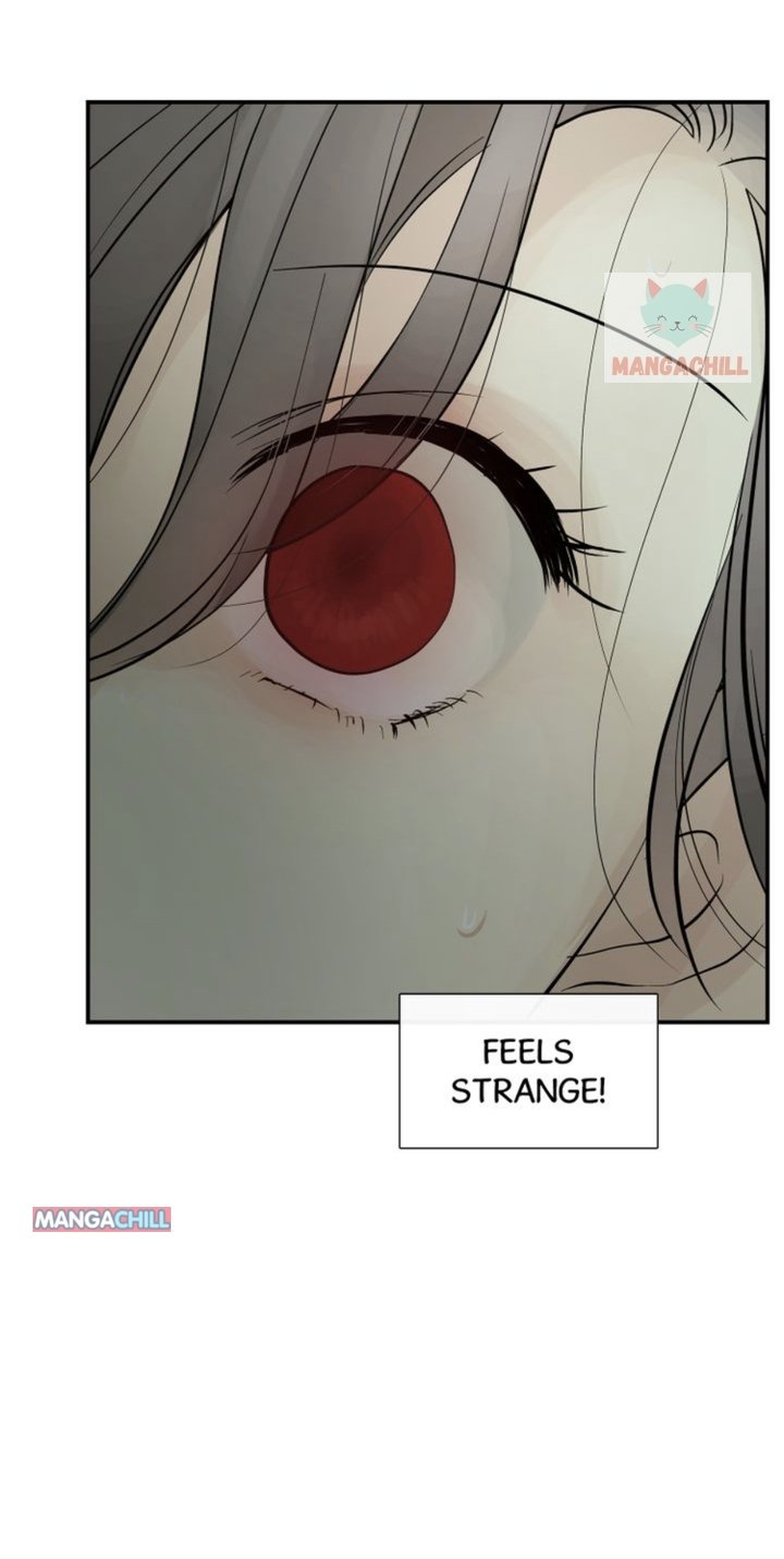 Page 55 of Chapter 73