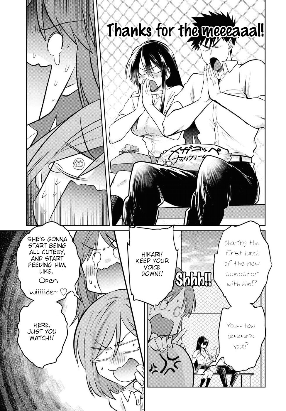 Page 15 of Chapter 17