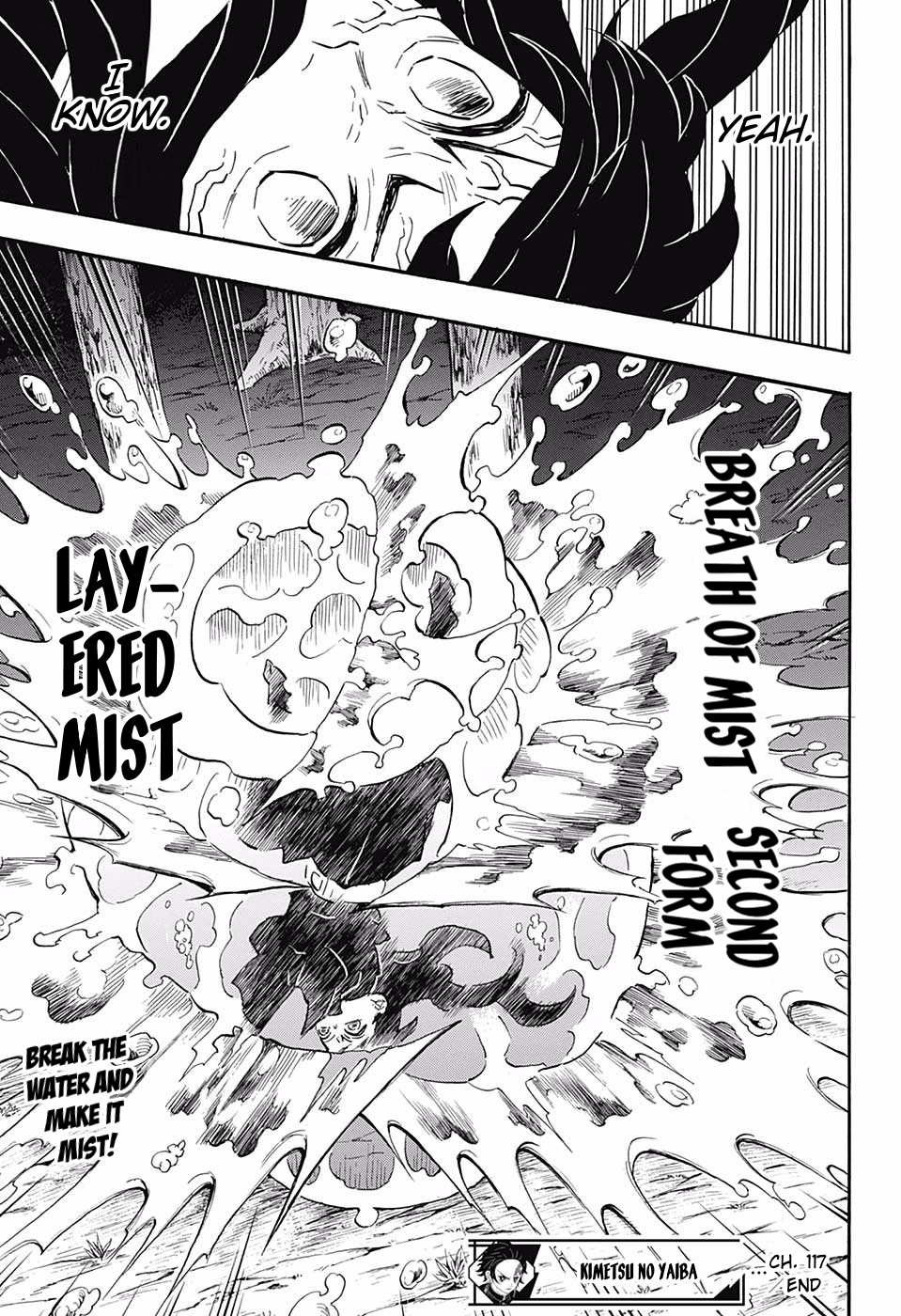 Page 19 of Chapter 117