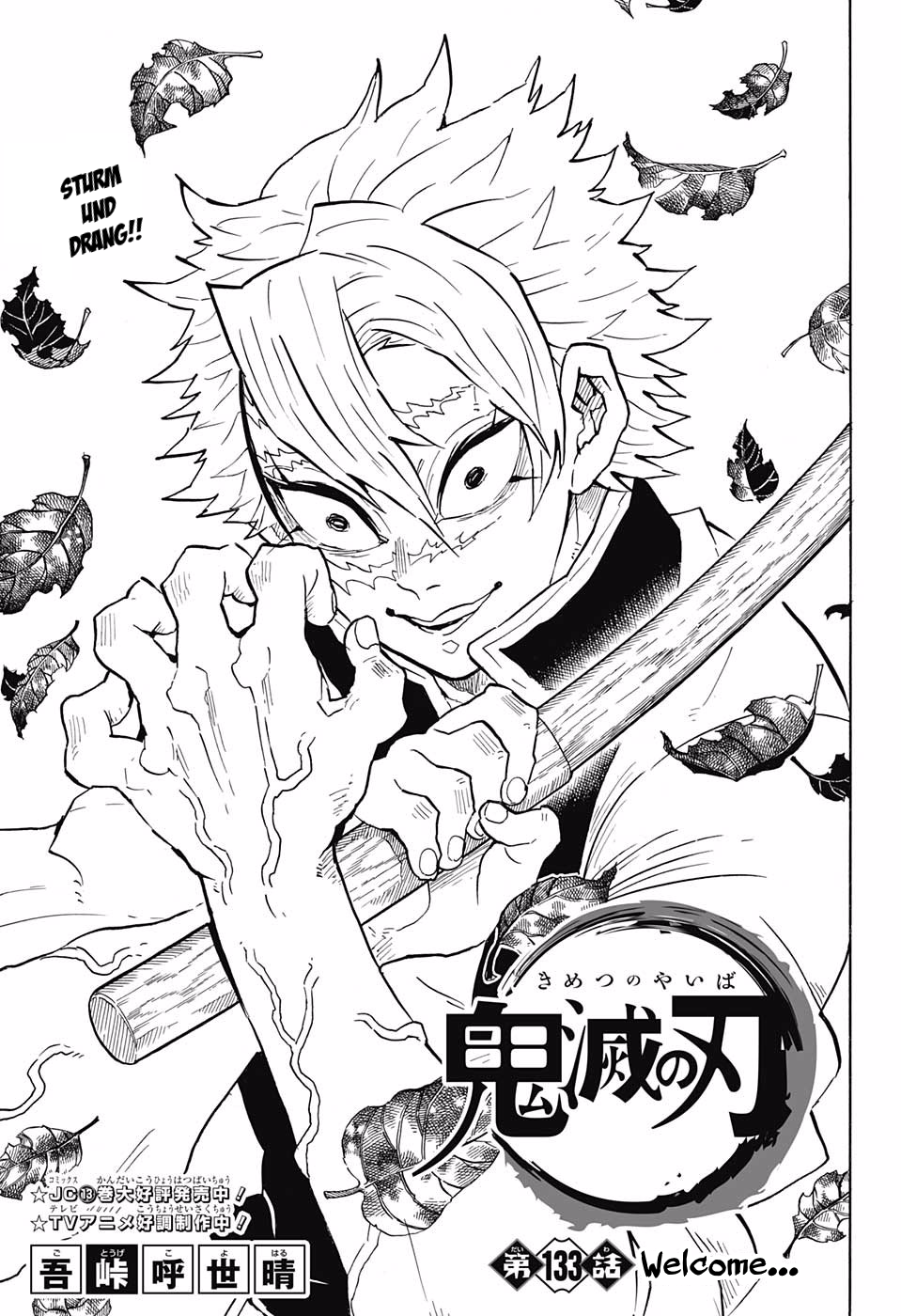 Page 1 of Chapter 133