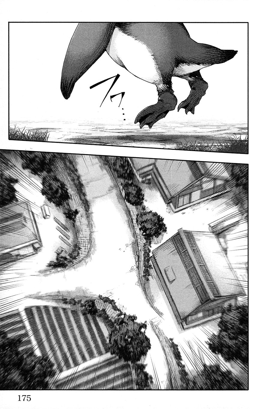 Page 33 of Chapter 48