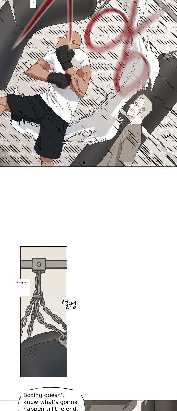 Page 13 of Chapter 17