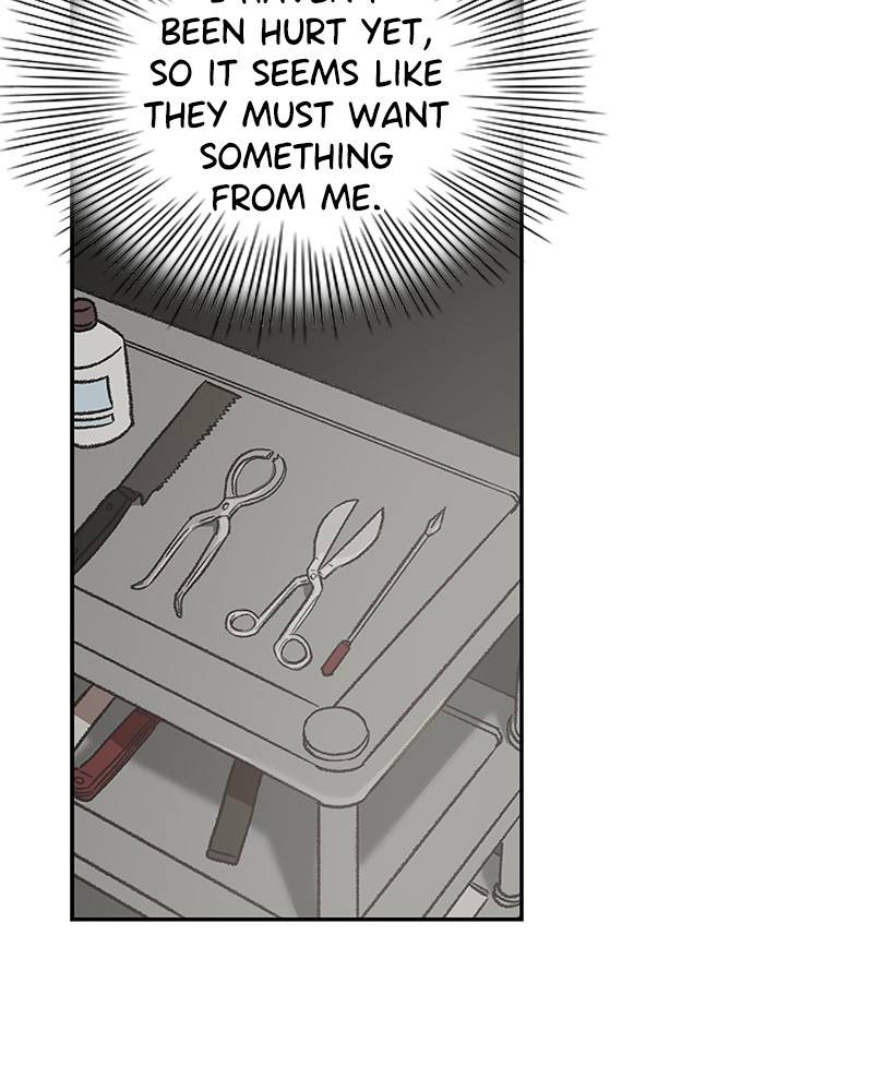 Page 63 of Chapter 65