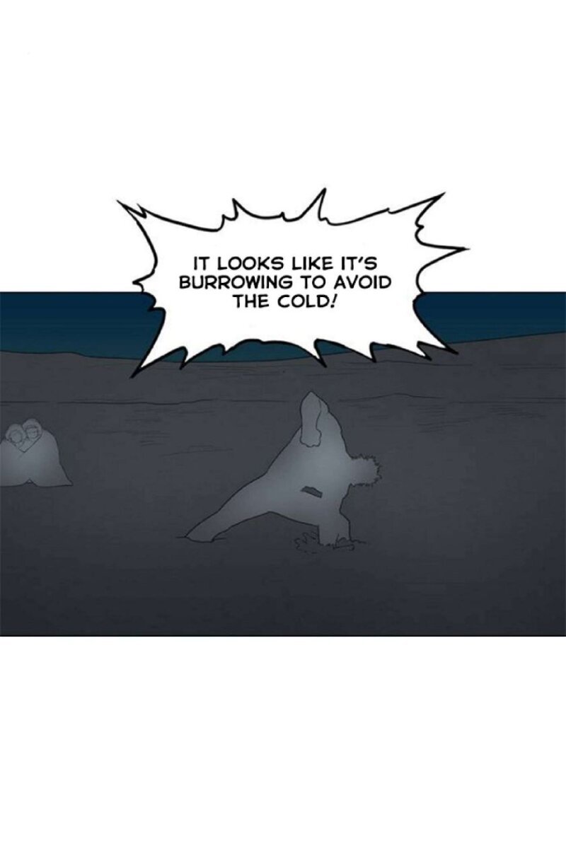 Page 13 of Chapter 74