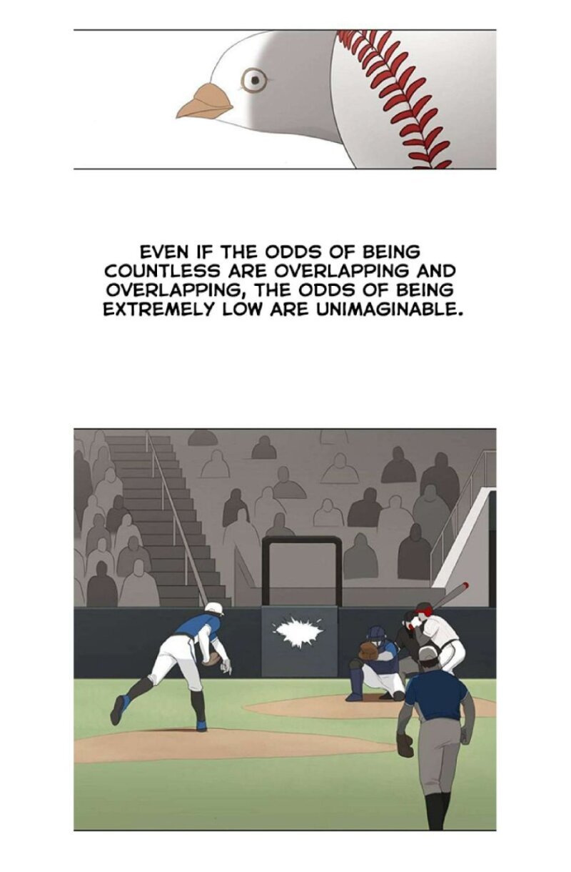 Page 81 of Chapter 74