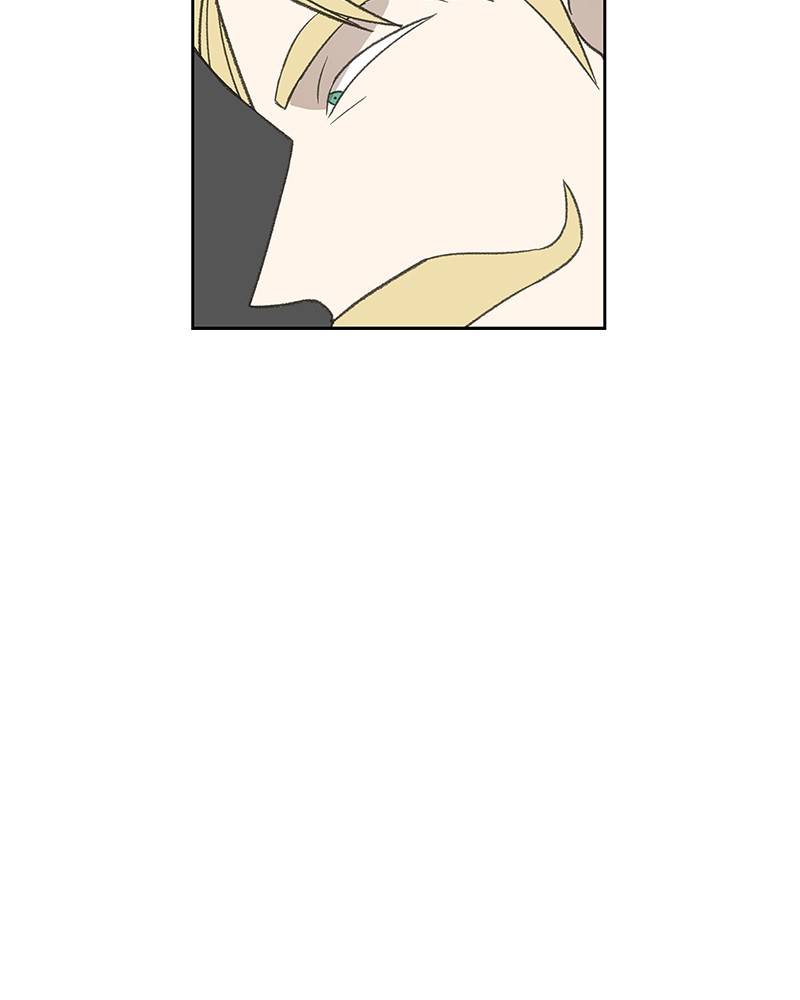 Page 65 of Chapter 75