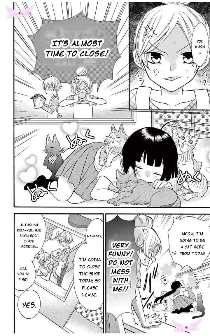 Page 12 of Chapter 19