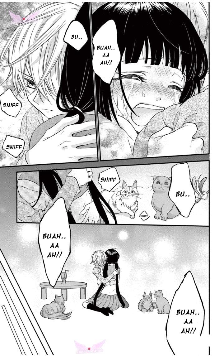 Page 21 of Chapter 19