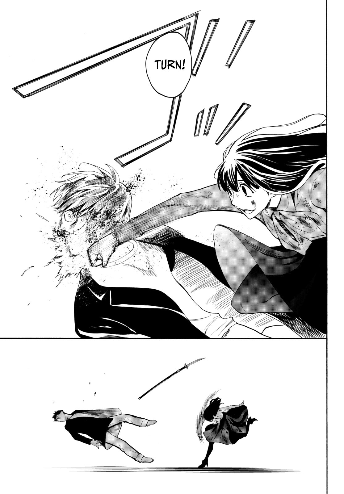 Page 32 of Chapter 15