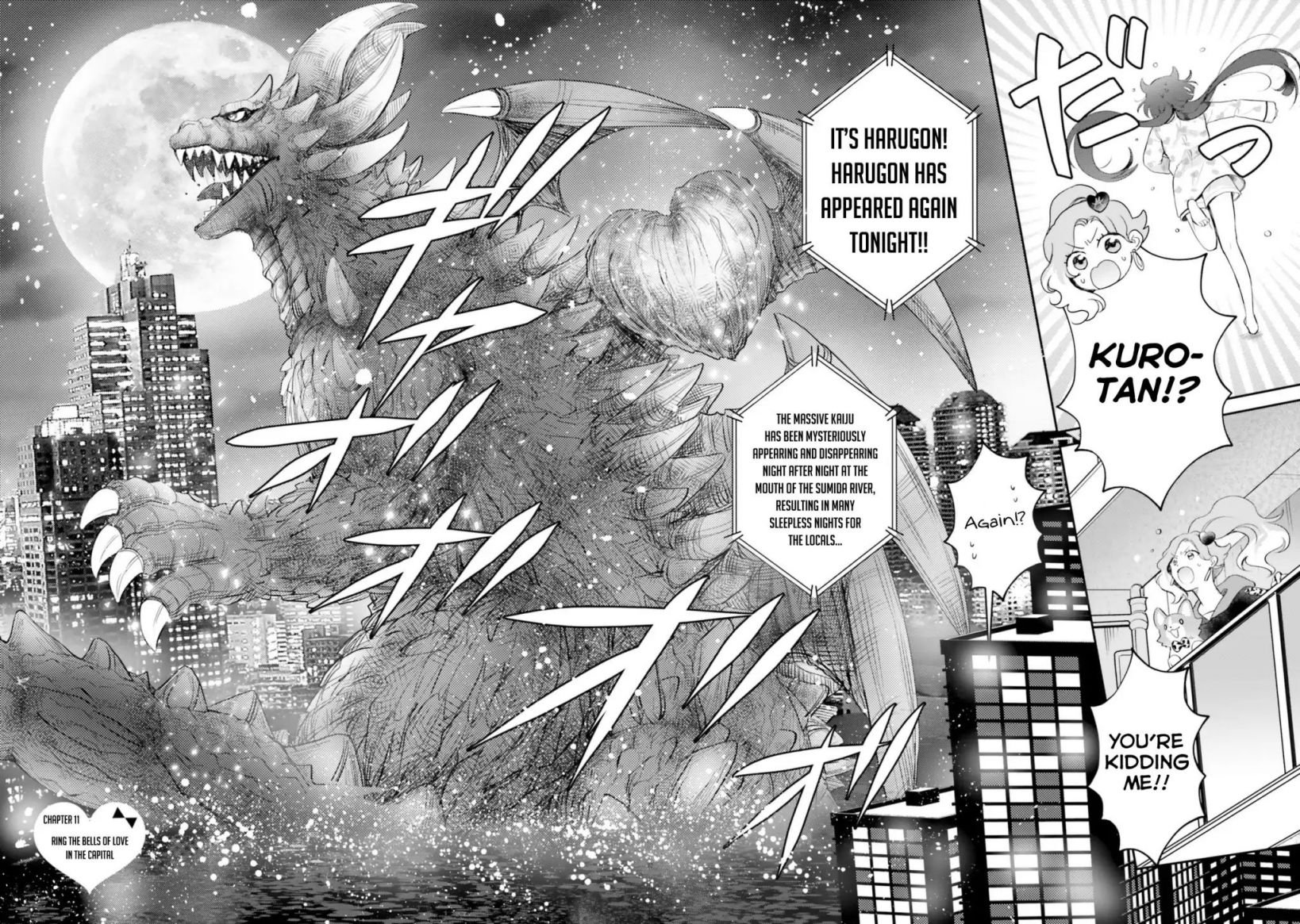 Page 5 of Chapter 11