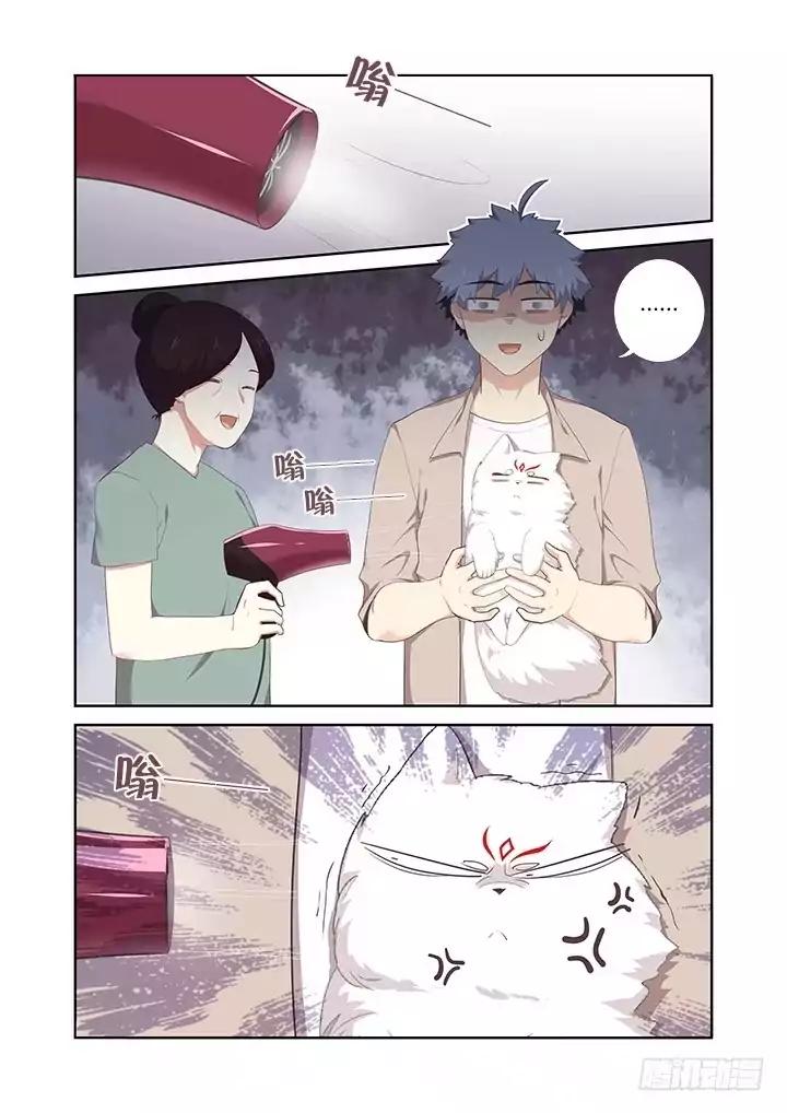 Page 5 of Chapter 396