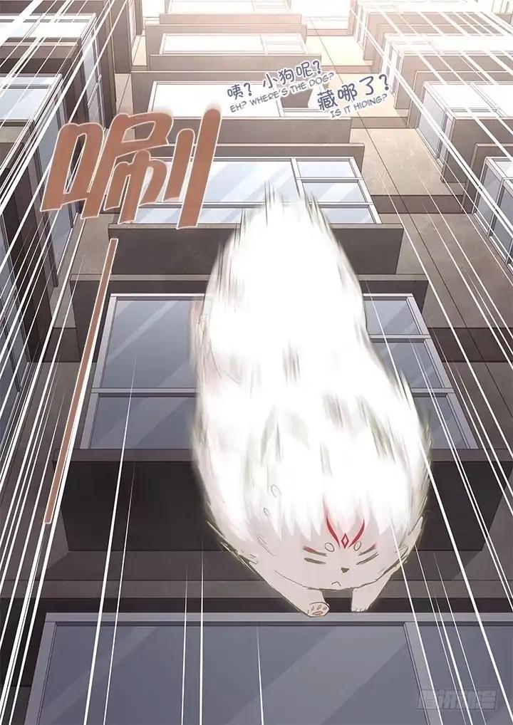 Page 14 of Chapter 403