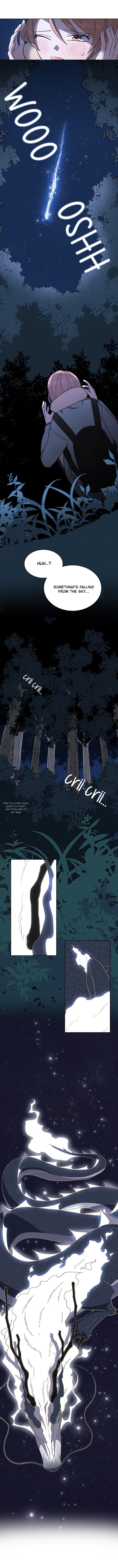 Page 7 of Chapter 1