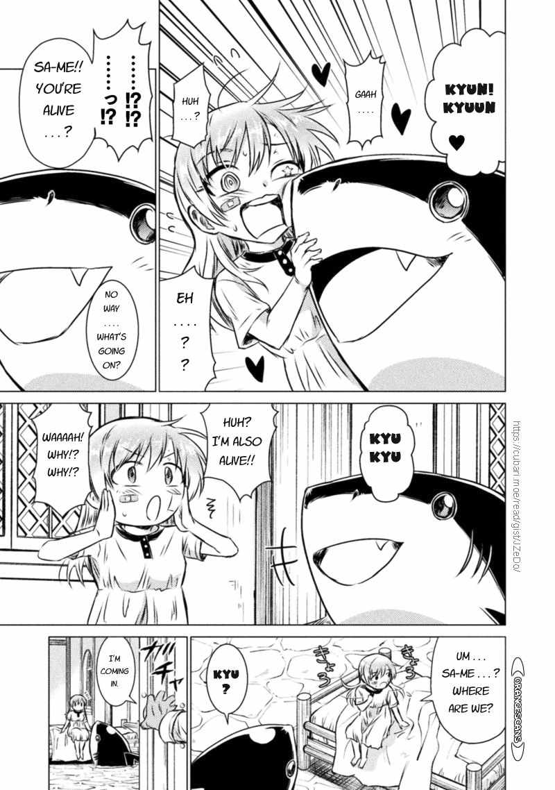 Page 13 of Chapter 19