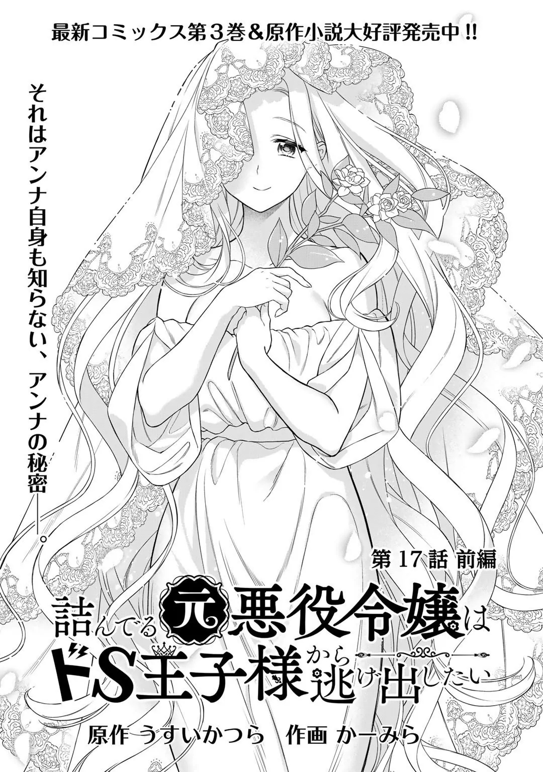 Page 3 of Chapter 17.1