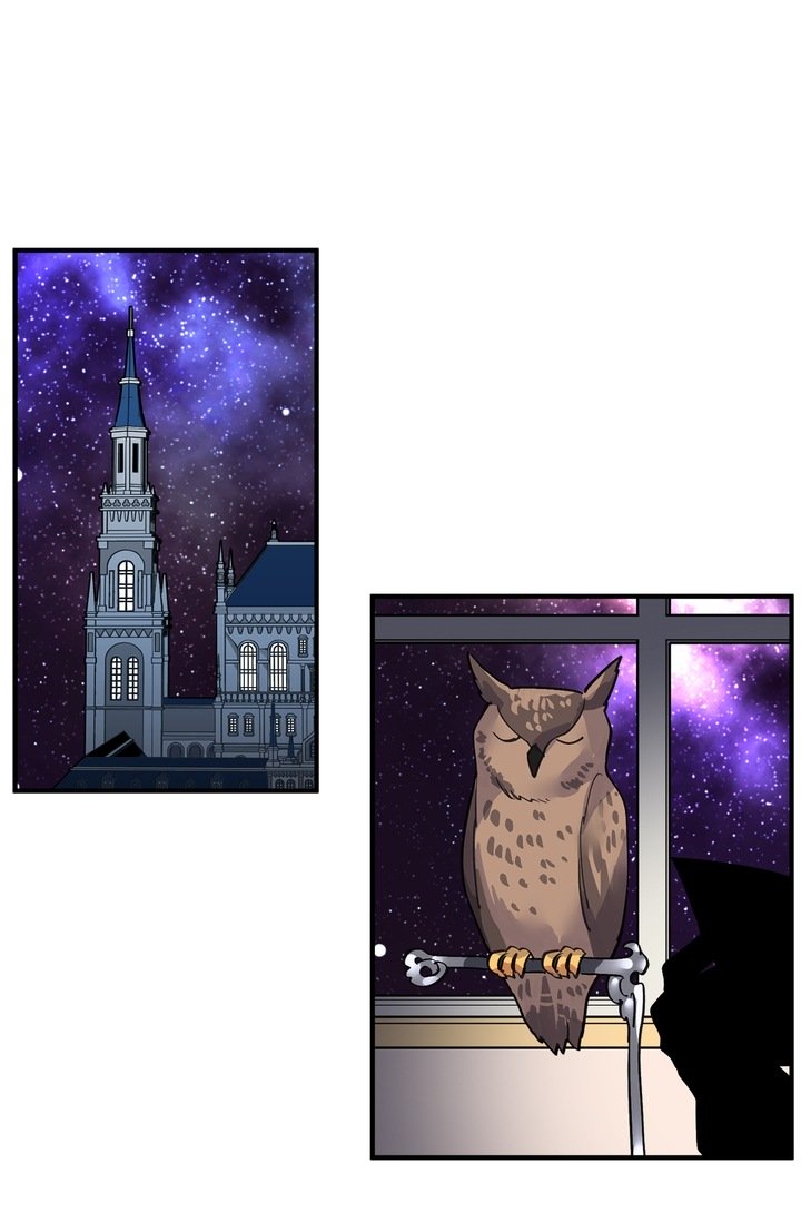 Page 17 of Chapter 38