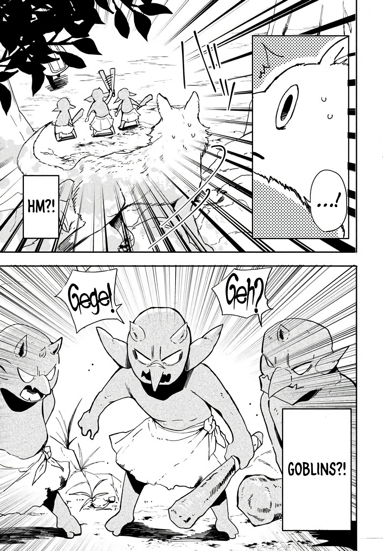 Page 13 of Chapter 2.1