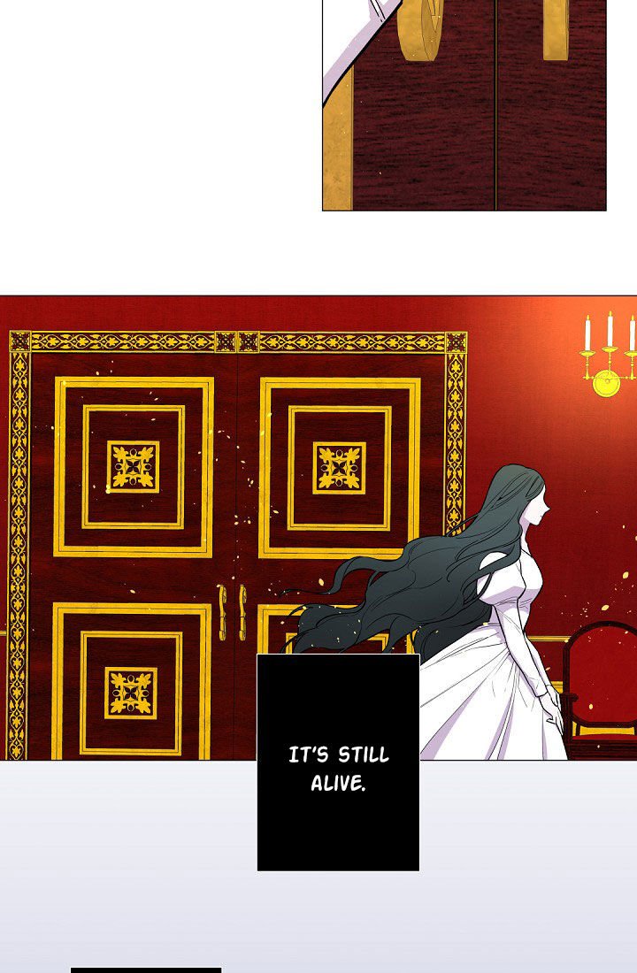 Page 13 of Chapter 1