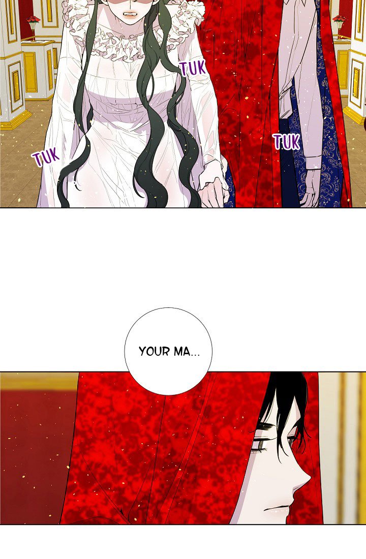 Page 39 of Chapter 19