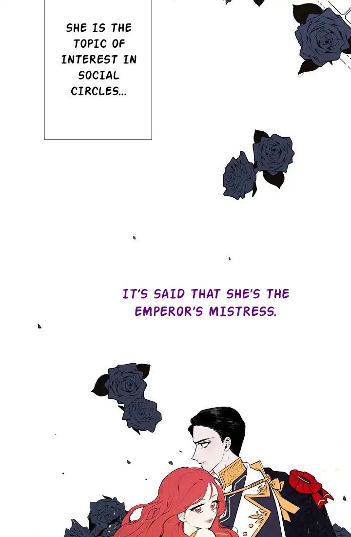 Page 37 of Chapter 2