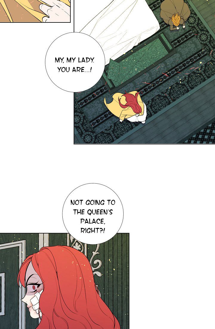 Page 13 of Chapter 20