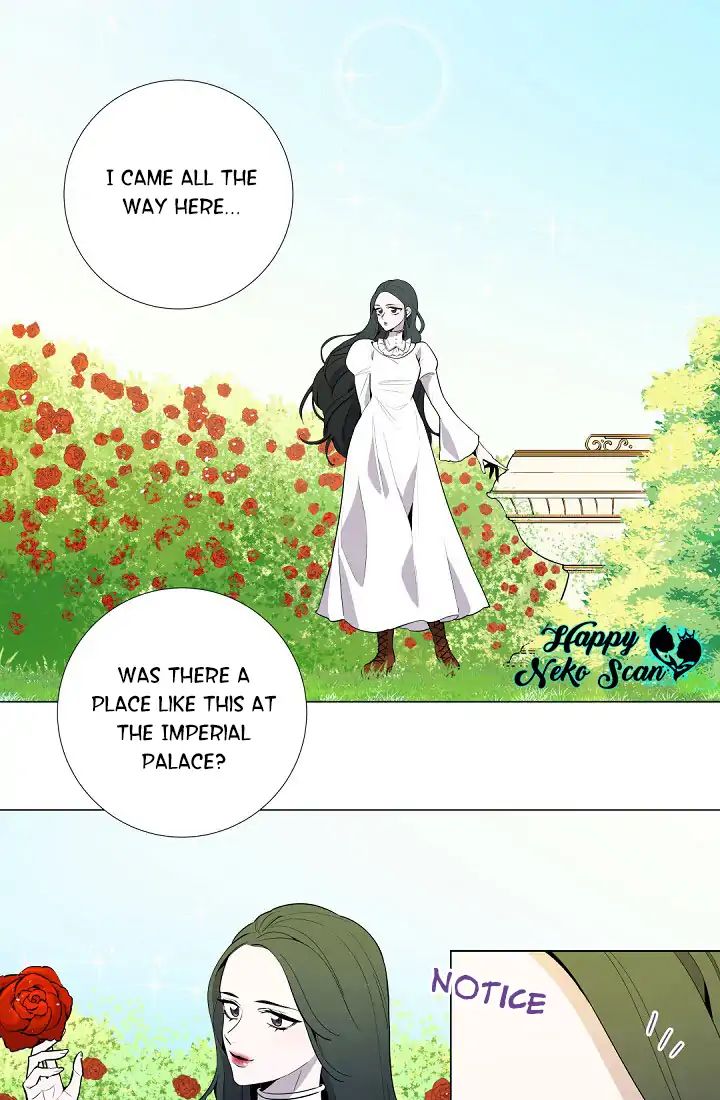 Page 54 of Chapter 3
