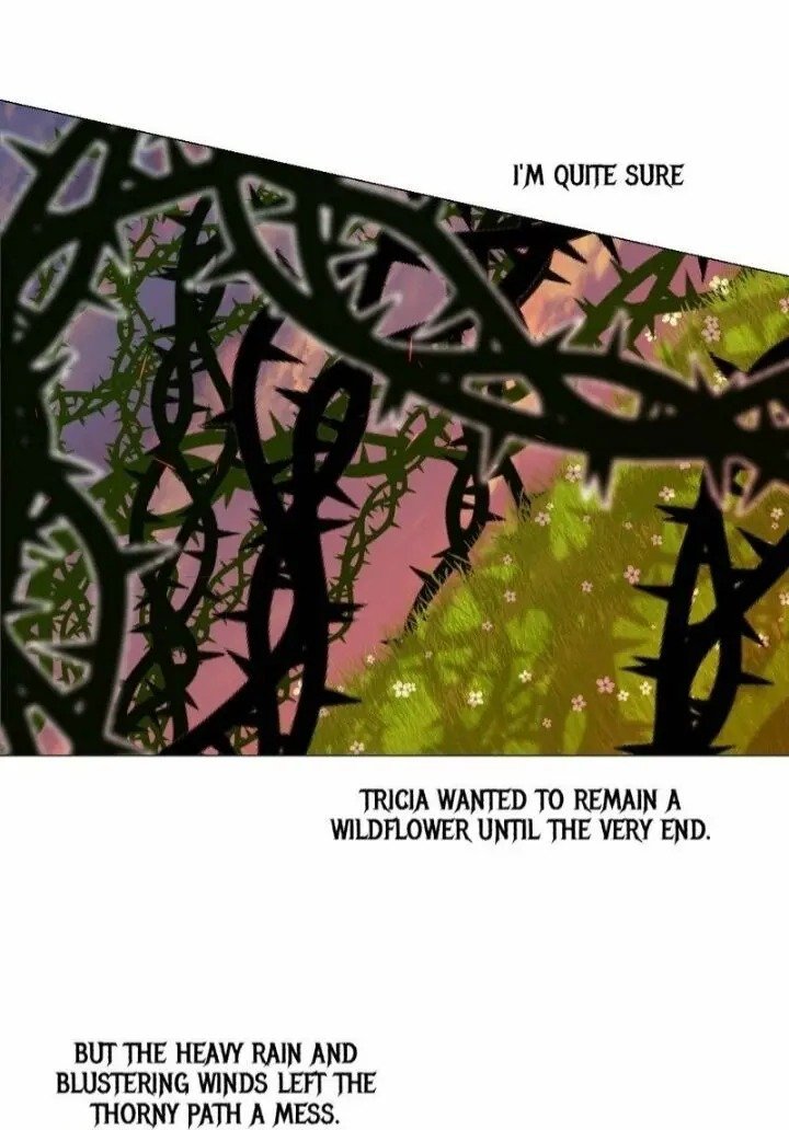 Page 63 of Chapter 38