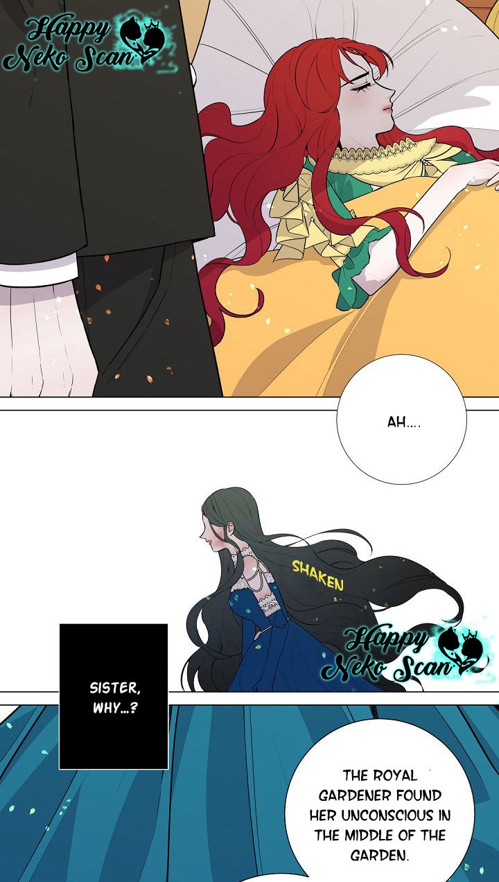 Page 19 of Chapter 6