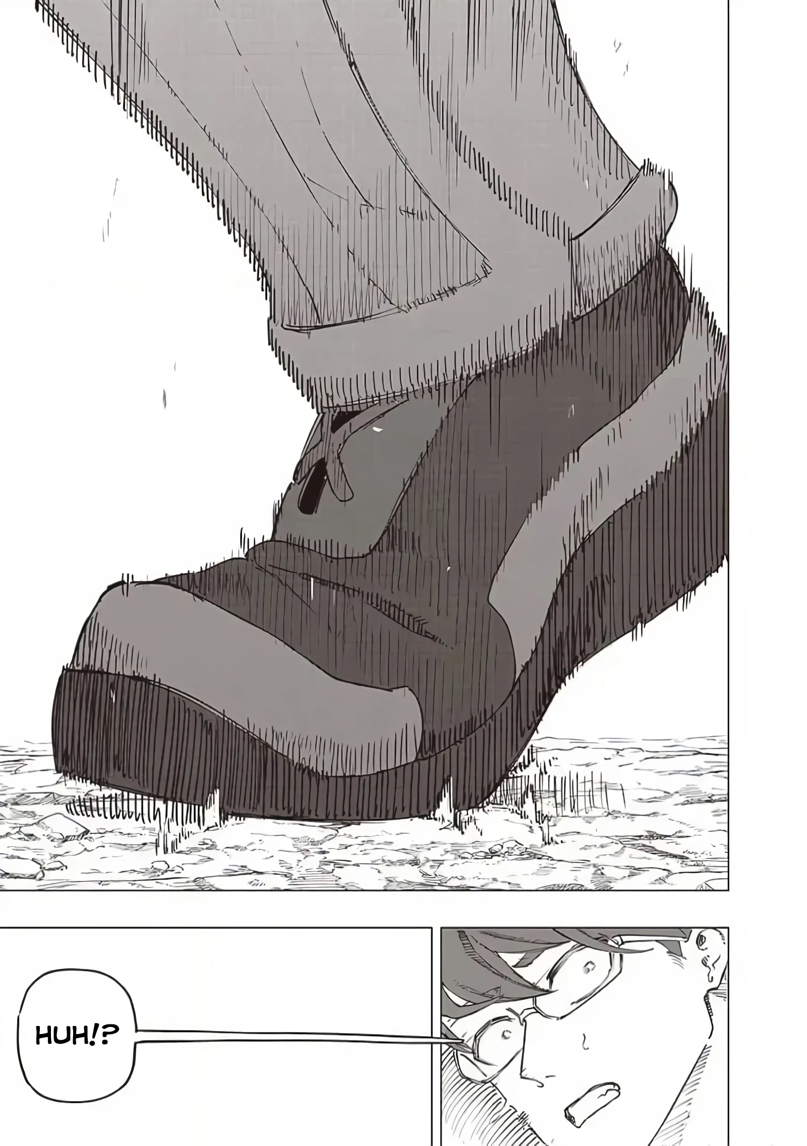 Page 13 of Chapter 30