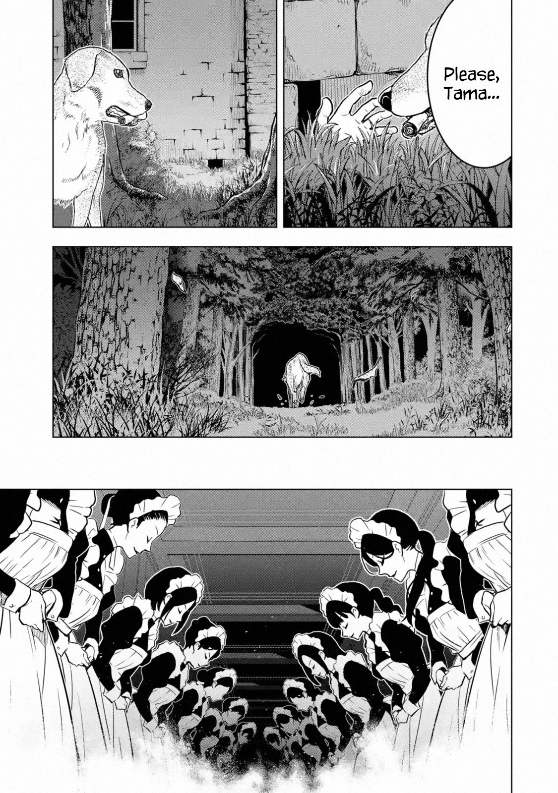 Page 29 of Chapter 14