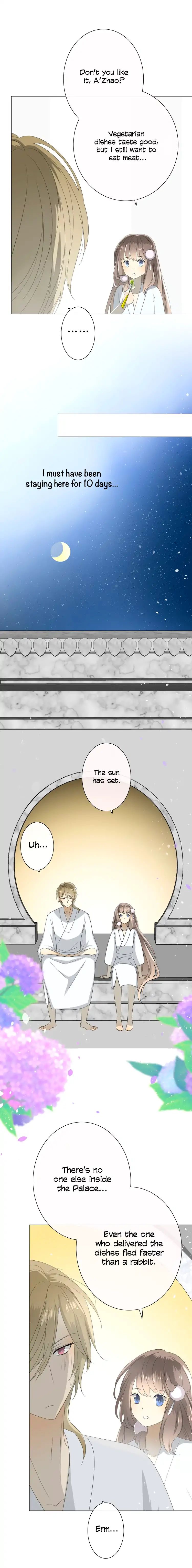 Page 4 of Chapter 19