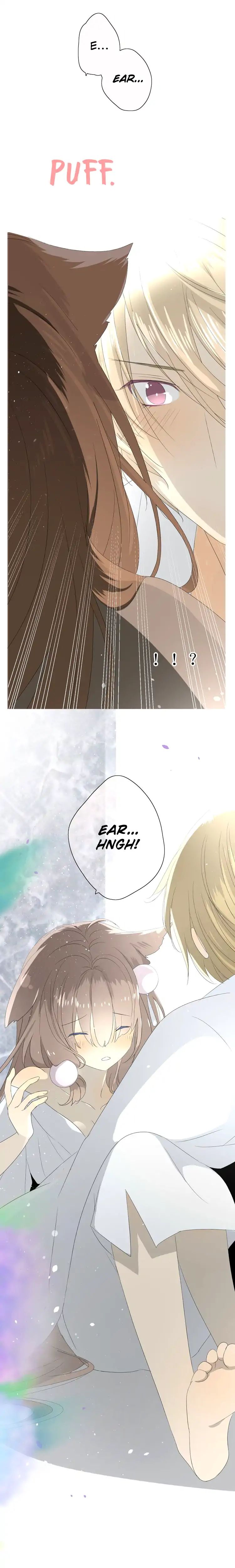 Page 13 of Chapter 19