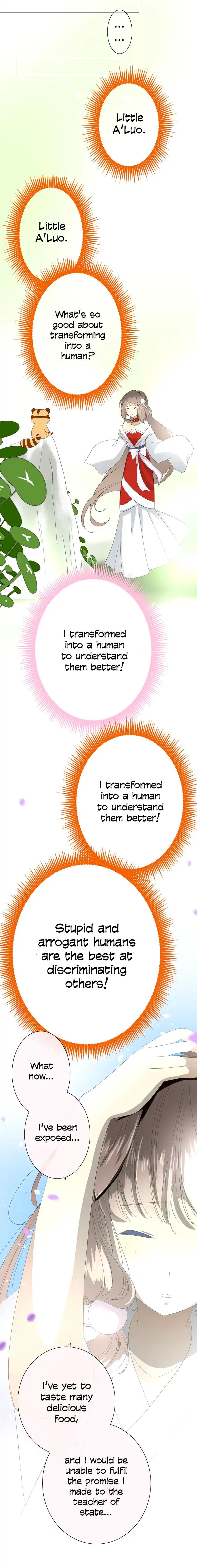 Page 5 of Chapter 20