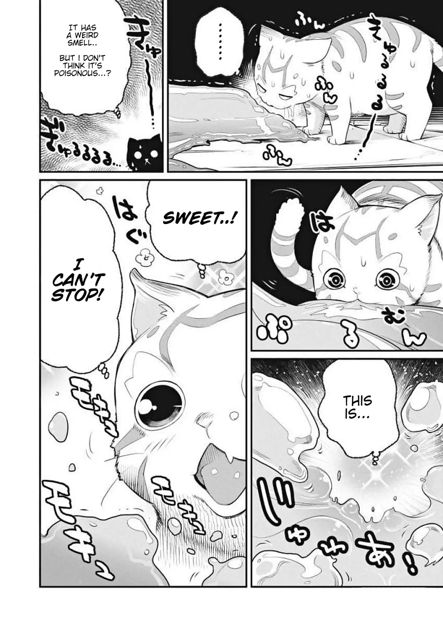 Page 12 of Chapter 1