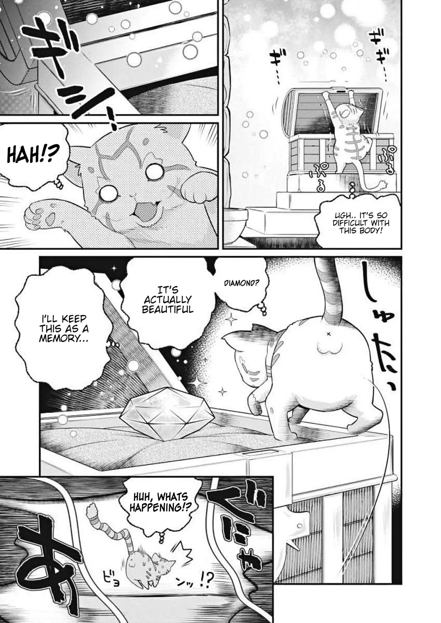 Page 17 of Chapter 1