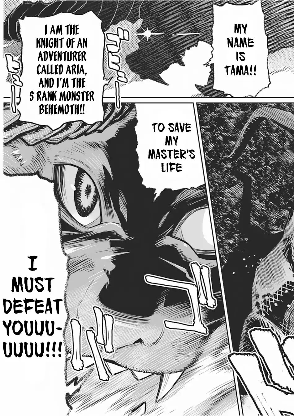 Page 14 of Chapter 15