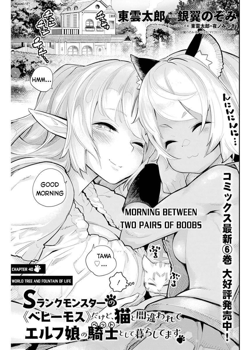 Page 2 of Chapter 40