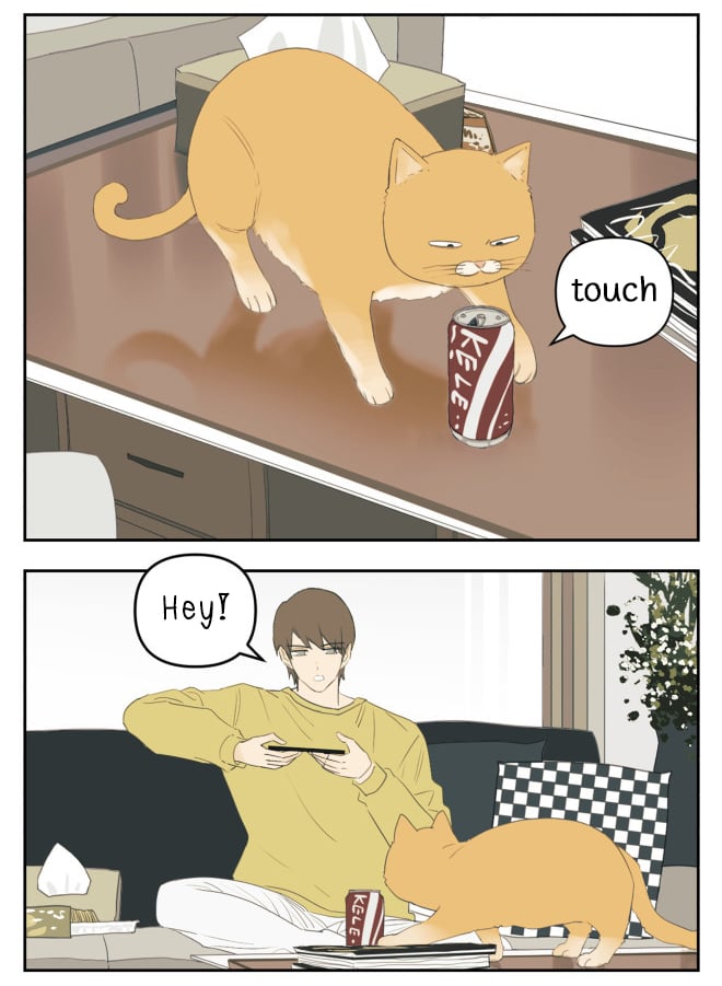 Page 2 of Chapter 101