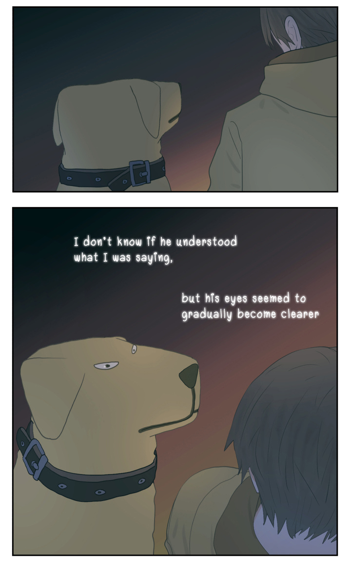 Page 11 of Chapter 114