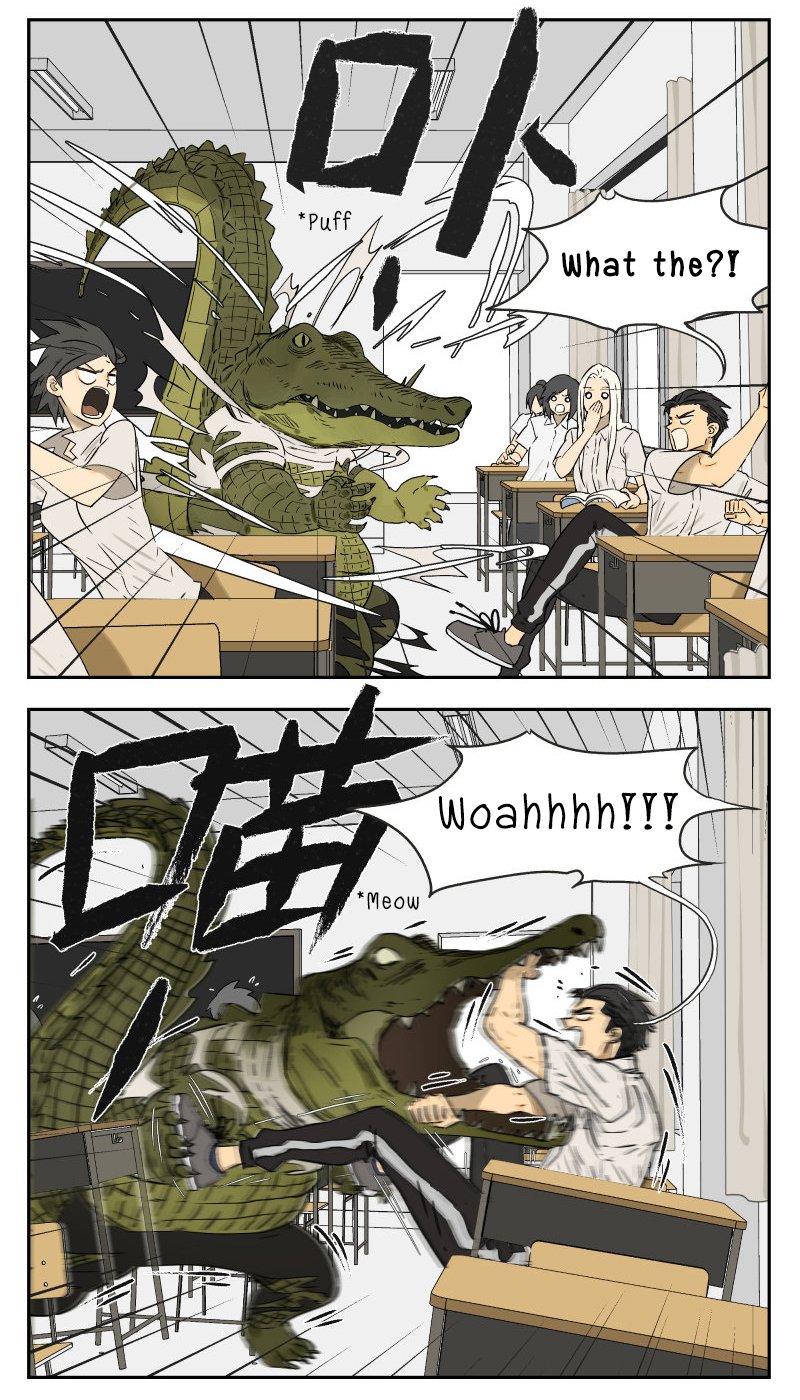 Page 3 of Chapter 13