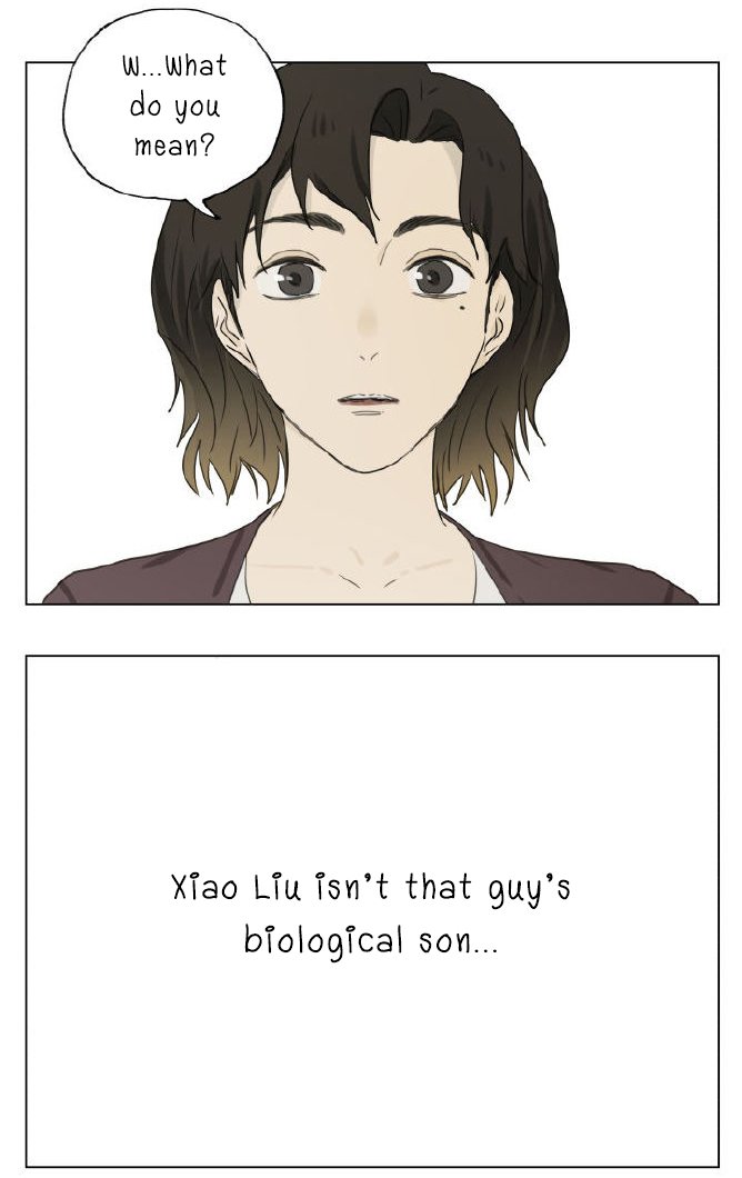 Page 29 of Chapter 91