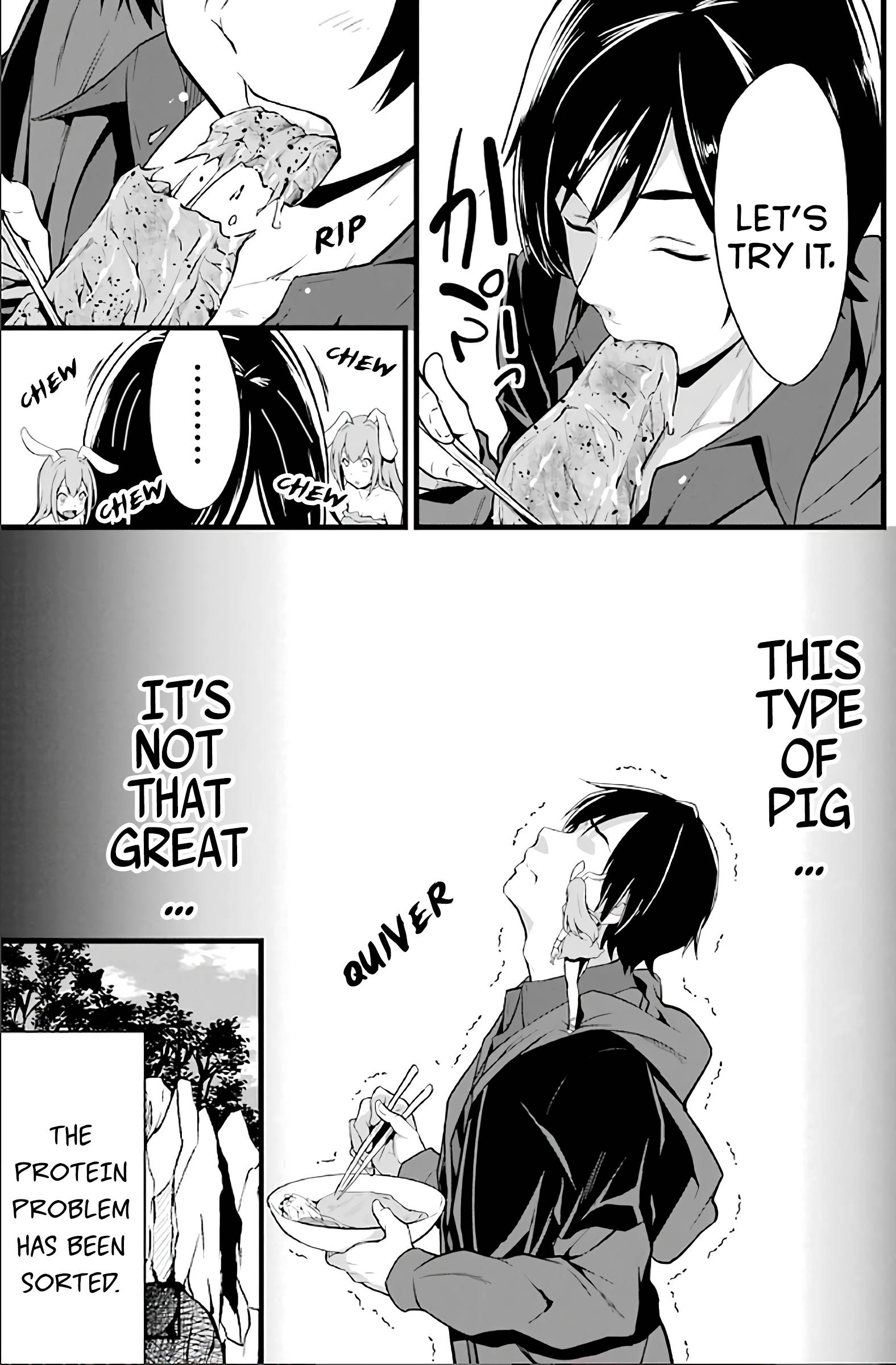 Page 17 of Chapter 2