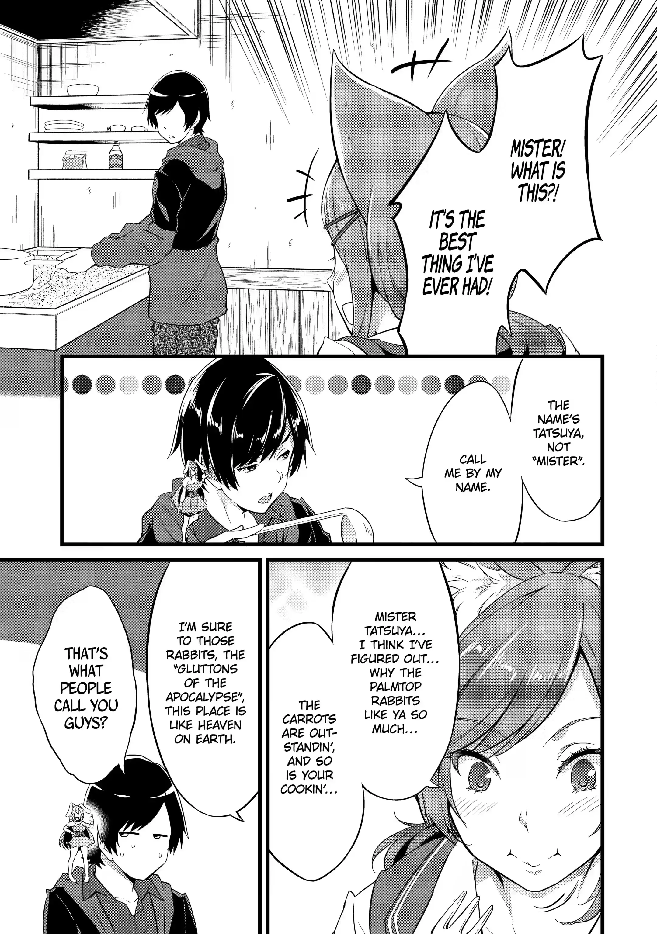Page 4 of Chapter 3.3