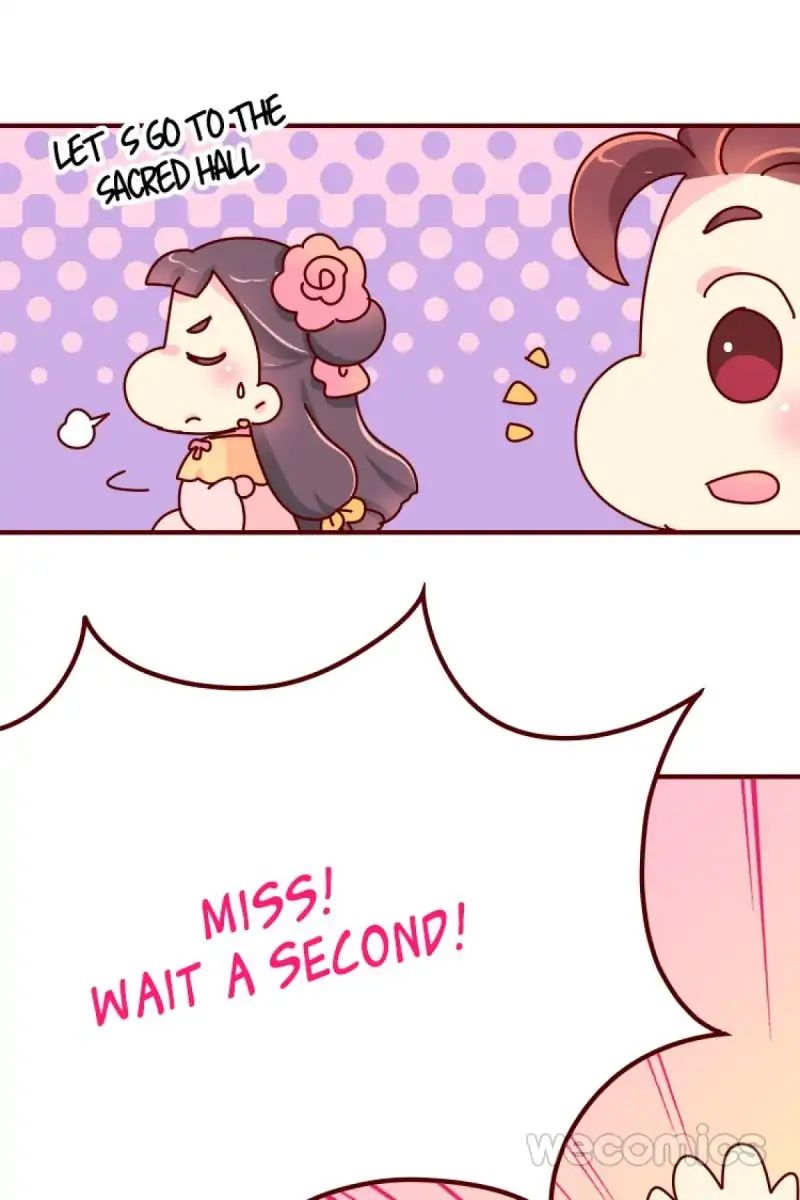 Page 15 of Chapter 19