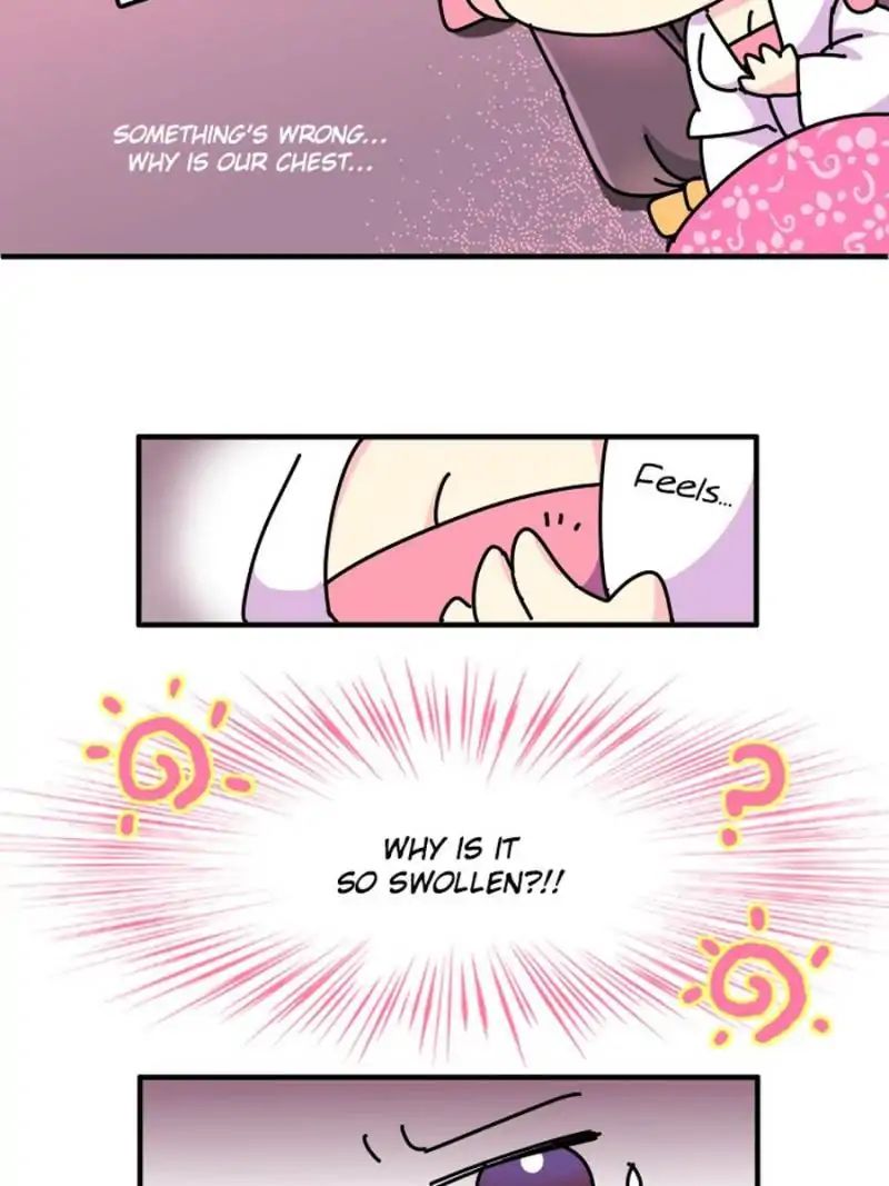 Page 3 of Chapter 2