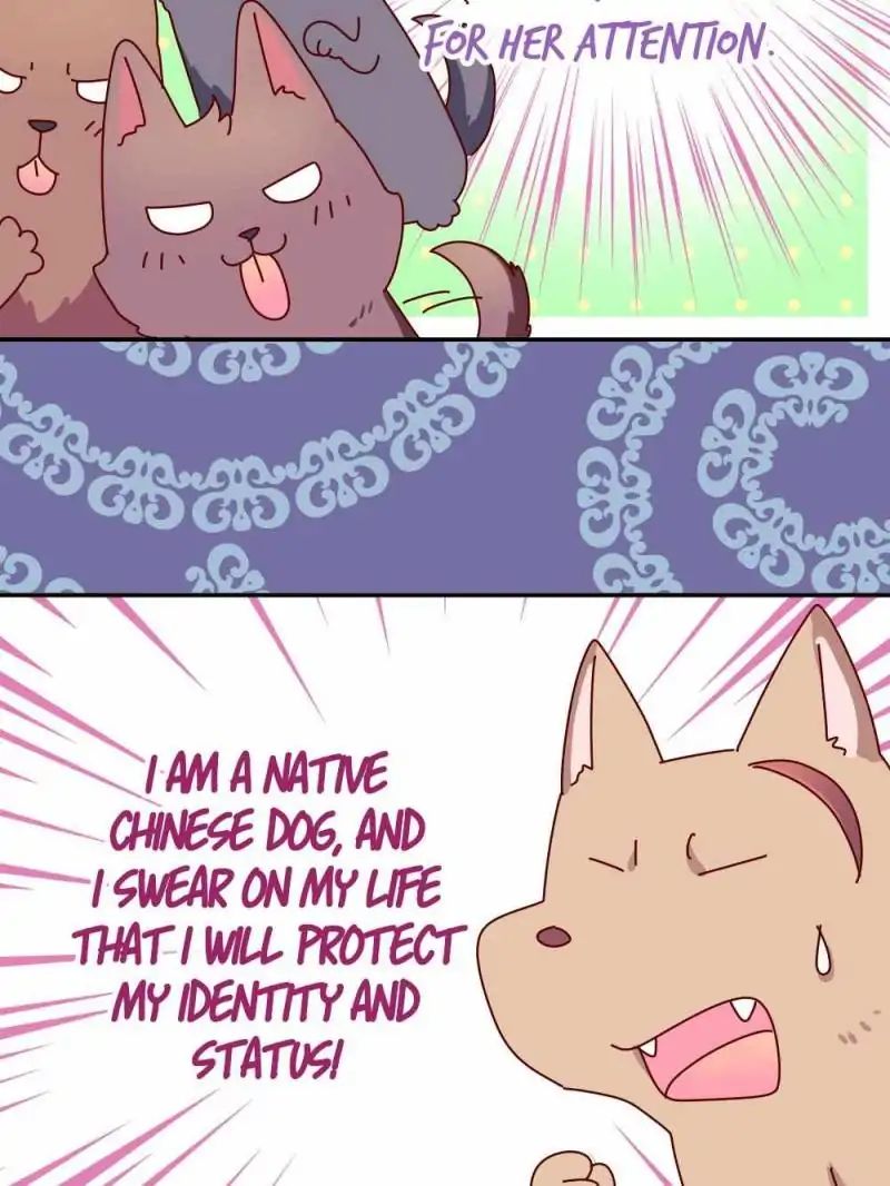 Page 12 of Chapter 34