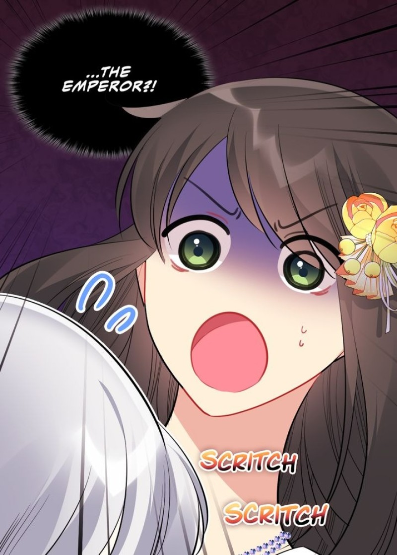 Page 45 of Chapter 80
