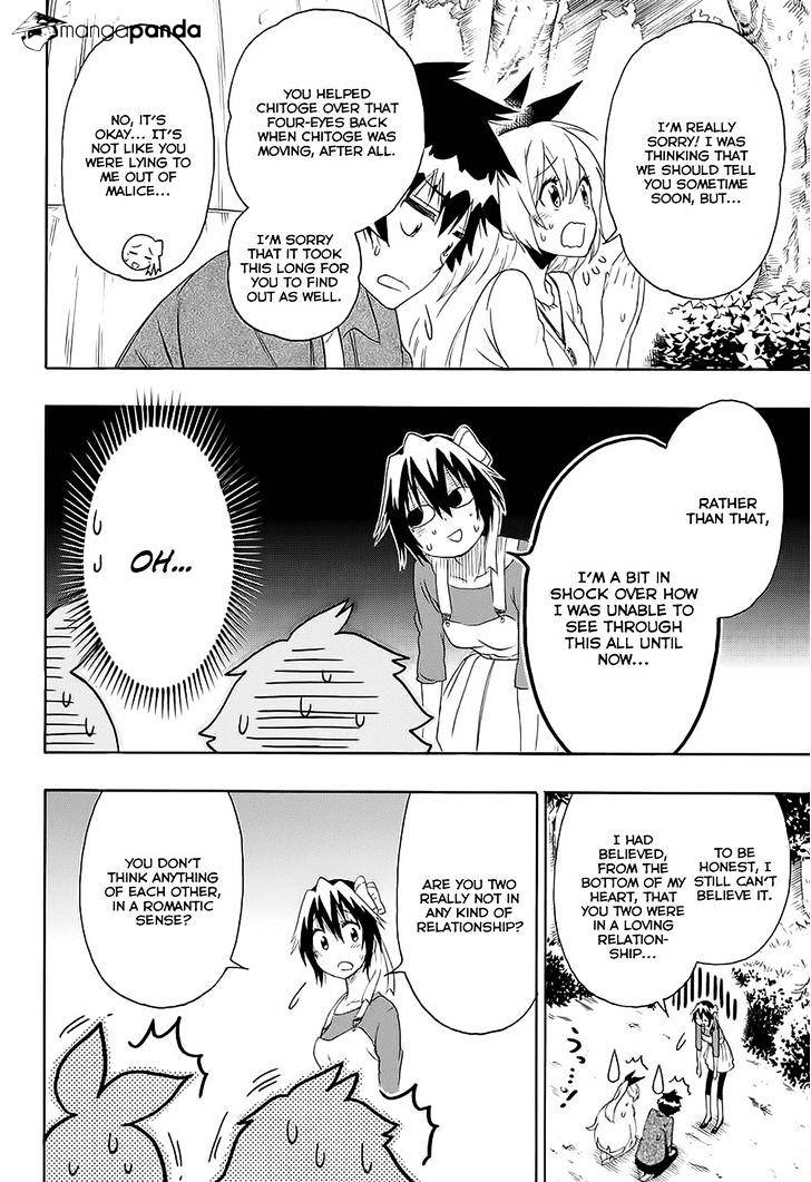 Page 14 of Chapter 204