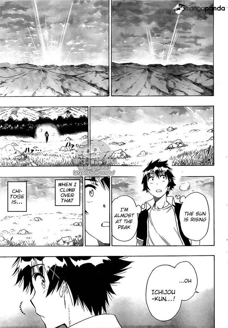 Page 17 of Chapter 224