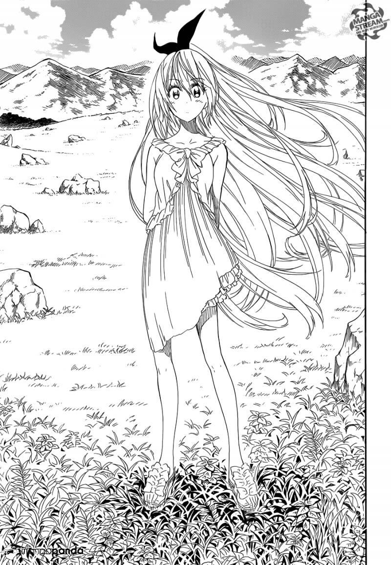 Page 17 of Chapter 229